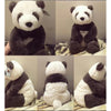 36-42cm Panda Plush