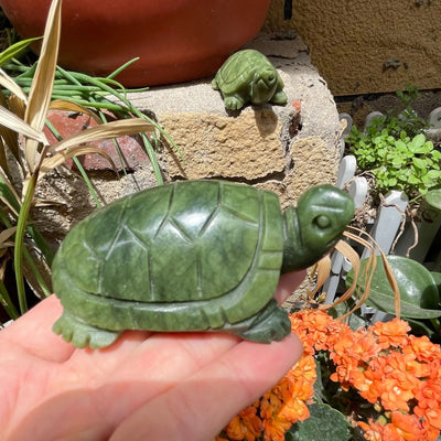 2pcs 80mm Natural Handmade Turtle