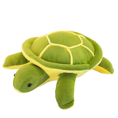 Little Turtle Plush