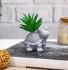Ceramic Cement Turtle Pot for Indoor Succulent Plant