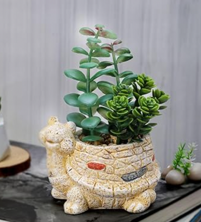 Artificial Ceramic Tortoise Design Flower Plants-Add Charm to Your Home,Office Decor, Elegant Shelf