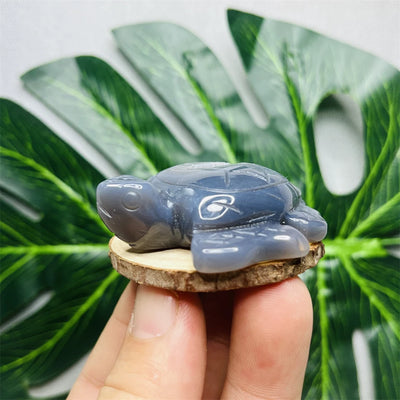Natural Agate Geode Hand-carved Turtle Sea Elf